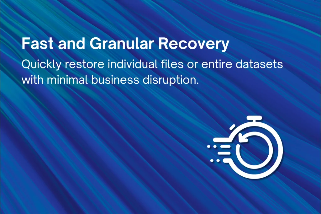 Fast Granular Recovery